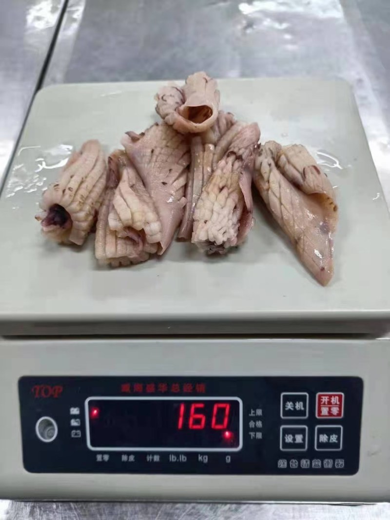 鱿鱼牛角花去头去内脏新鲜速冻鱿鱼花耳尖切鱿鱼尾花火锅食材
