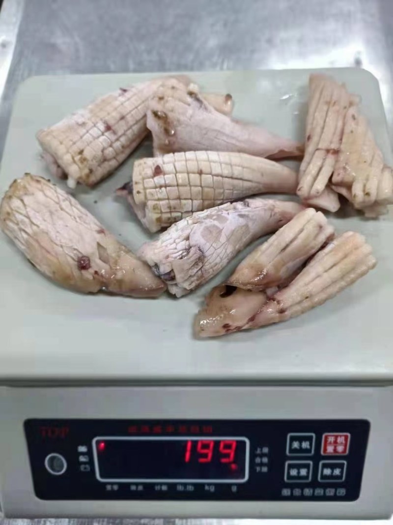 鱿鱼牛角花去头去内脏新鲜速冻鱿鱼花耳尖切鱿鱼尾花火锅食材