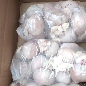 （肚包肉）（量大优惠）一斤三个自己工产一件20斤