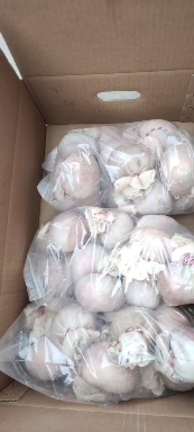 （肚包肉）（量大优惠）一斤三个自己工产一件20斤