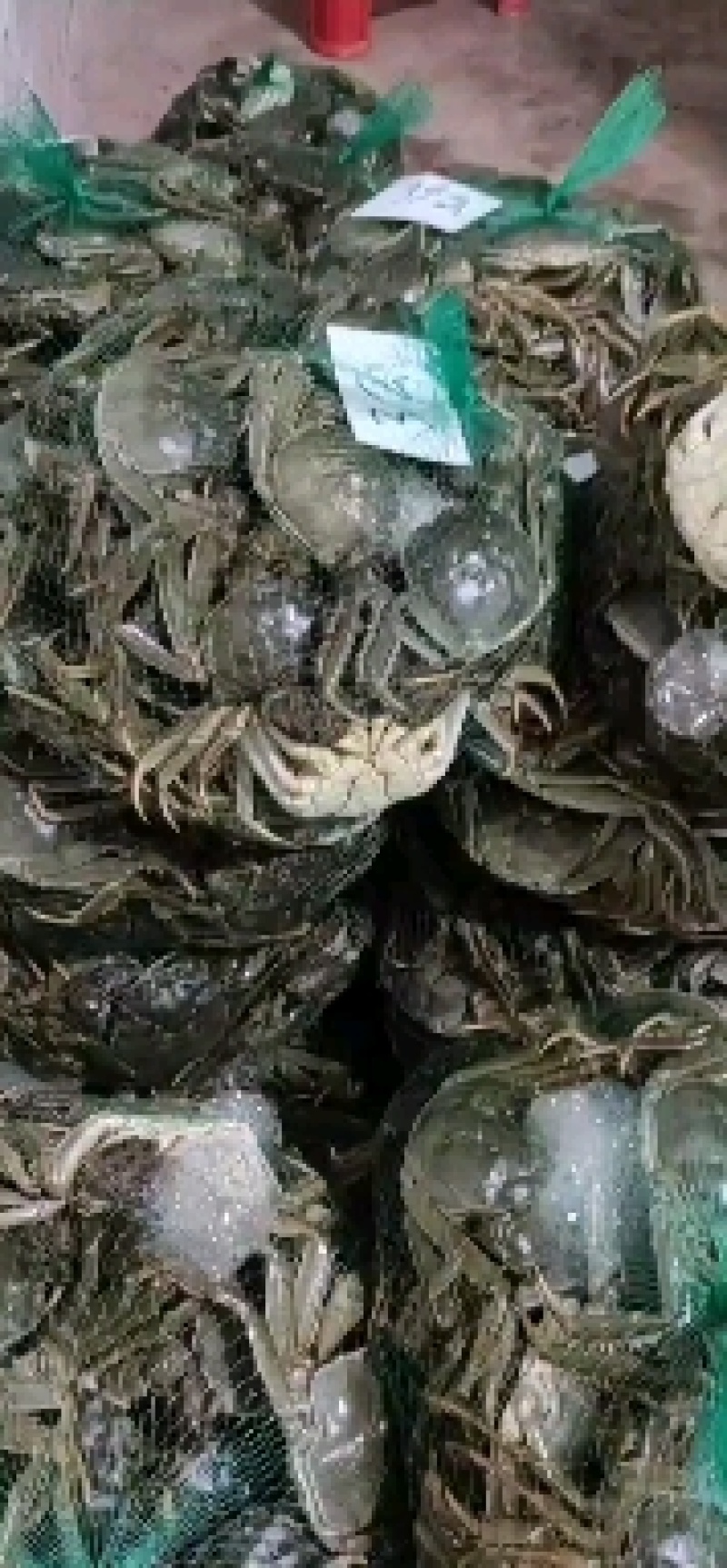 洪湖清水大闸蟹产地直发