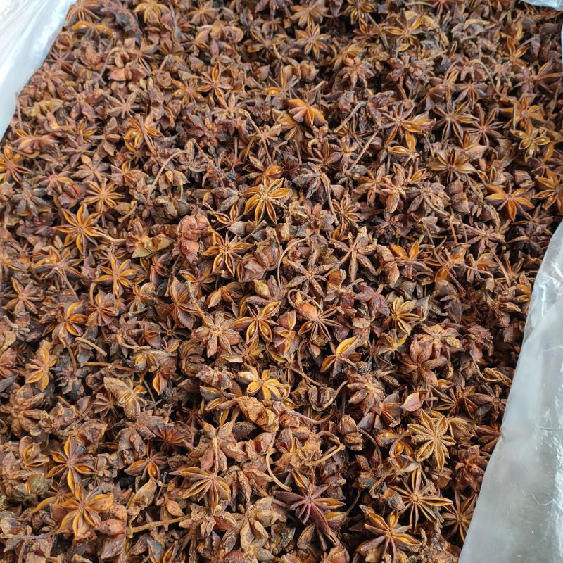 广西大红八角全干无硫新秋果春花和干枝大料正宗批发