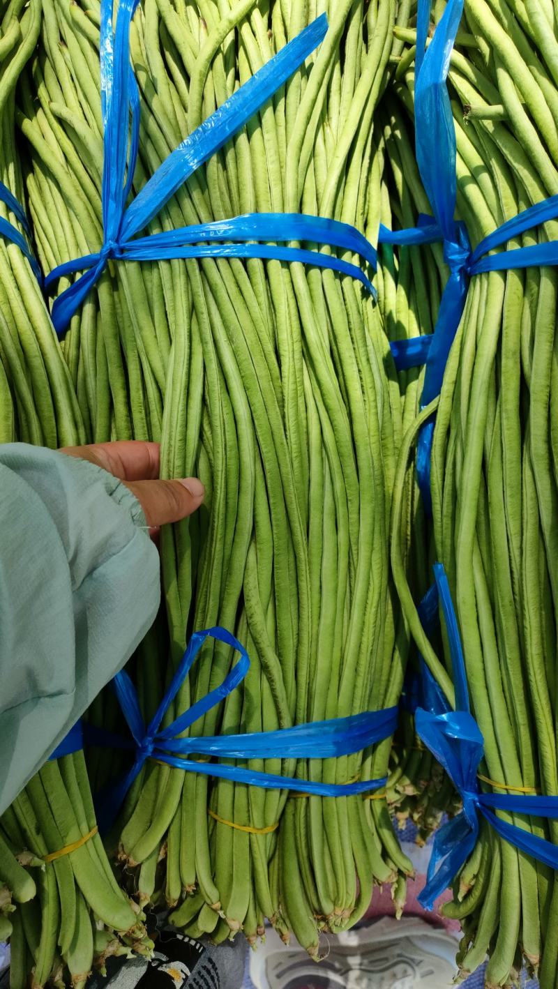 西双版纳傣族自治州豇豆新苗豆子陆续上市，量大价优，欢迎选
