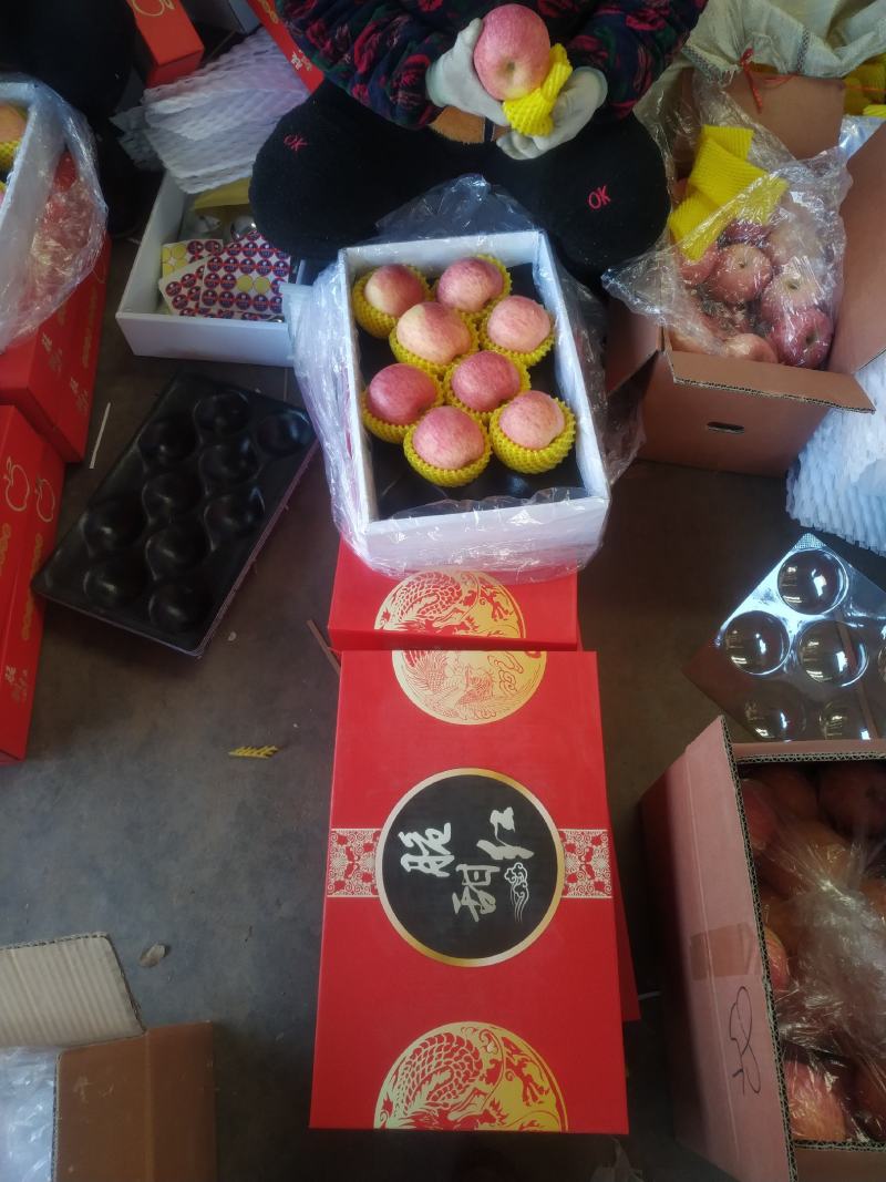 沂源县红富士苹果口感脆甜多汁。支持代收代发。