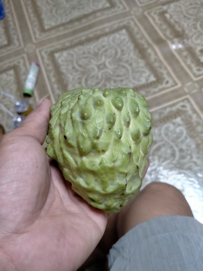 广西万亩释迦。清香非常甜。水分充足。精品货源
