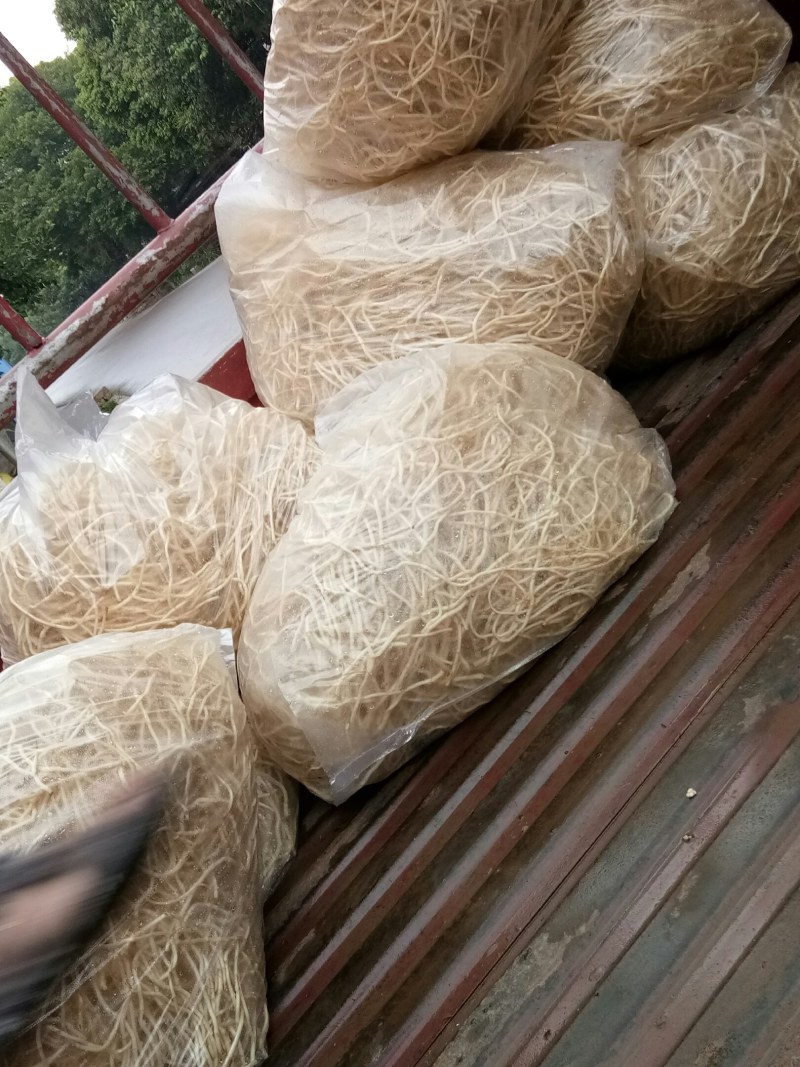 折耳根（新鲜折耳根现货供应）