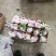 纸袋突围甜桃、永莲蜜桃2号水蜜桃6月15日大量上市