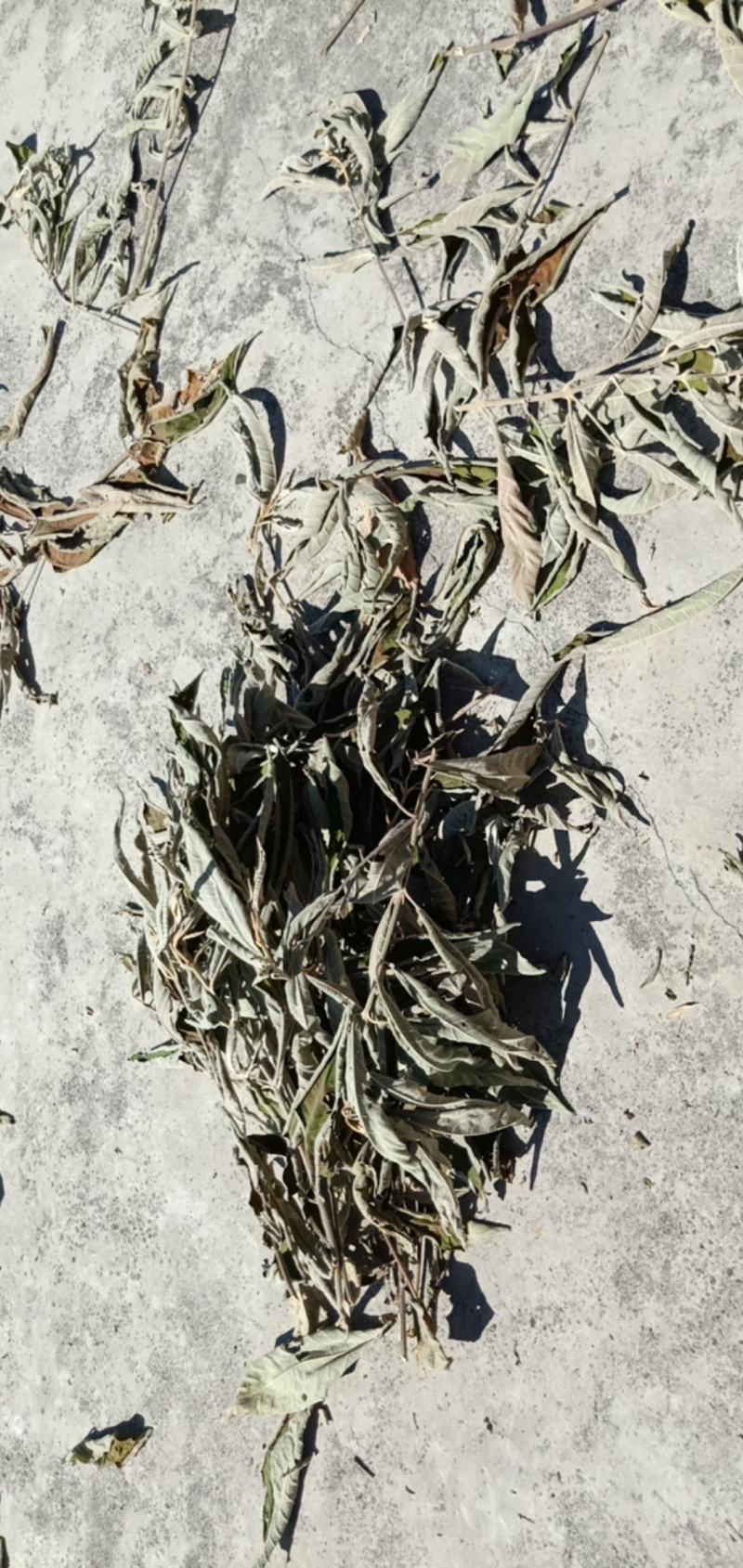 贵州高原野生中药材，紫珠叶，自然晒干，无硫
