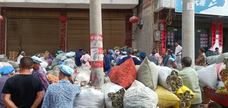 贵州高原野生中药材，紫珠叶，自然晒干，无硫