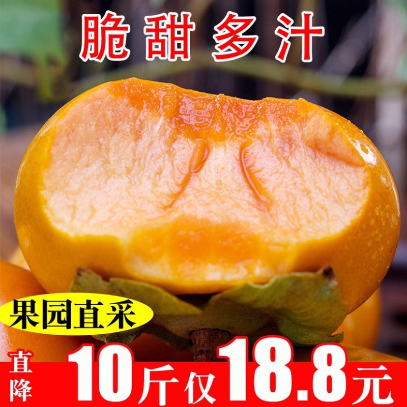 巧克力脆柿子新鲜脆柿水果当季农家硬甜柿子