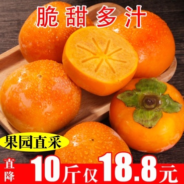 巧克力脆柿子新鲜脆柿水果当季农家硬甜柿子