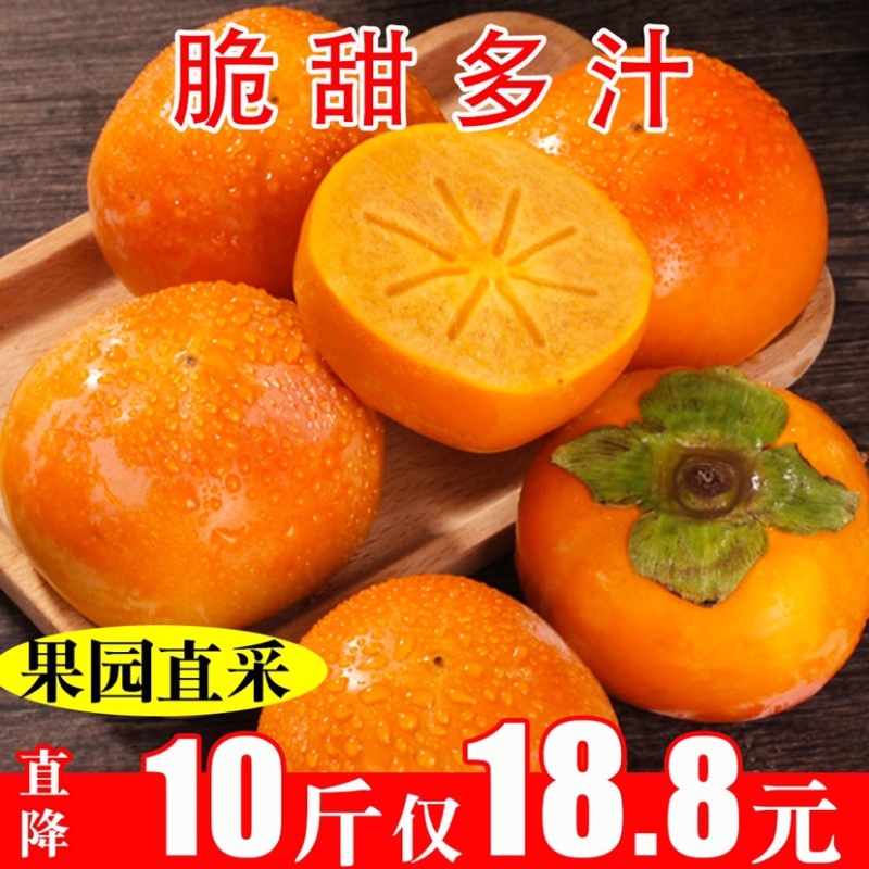 巧克力脆柿子新鲜脆柿水果当季农家硬甜柿子