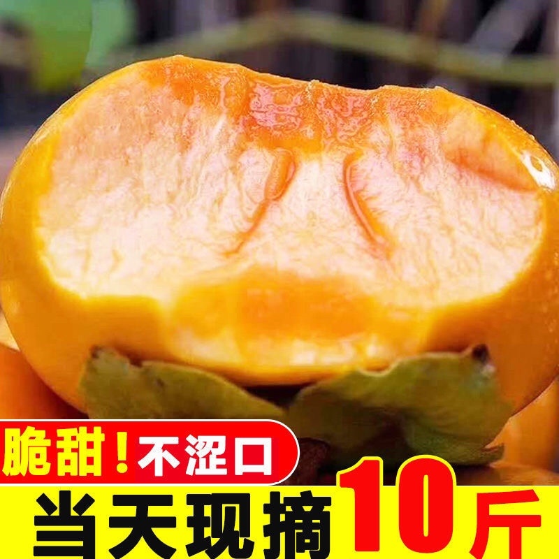 巧克力脆柿子新鲜脆柿水果当季农家硬甜柿子