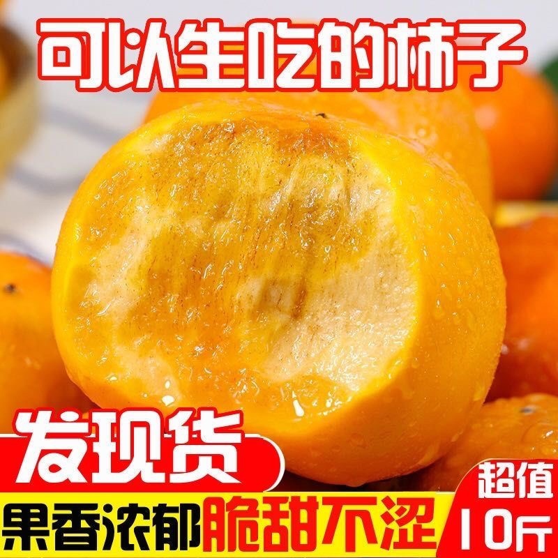 新鲜脆柿水果当季巧克力无核直接吃现摘现发新鲜水果