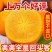 新鲜脆柿水果当季巧克力无核直接吃现摘现发新鲜水果