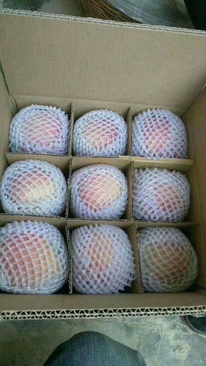 朋友们，自家种的红富士和秦冠即将成熟，需要的朋友提前预定