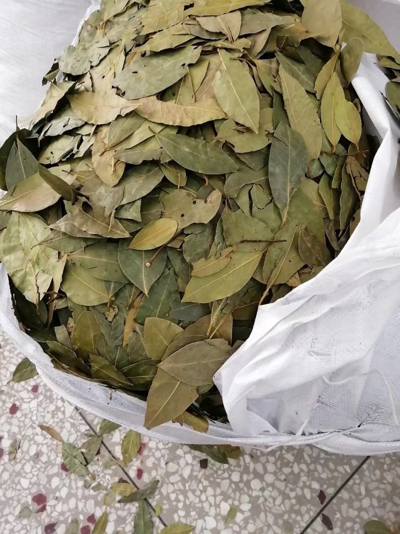 香叶特绿精品月桂叶香料卤料调料产地直销批发包邮