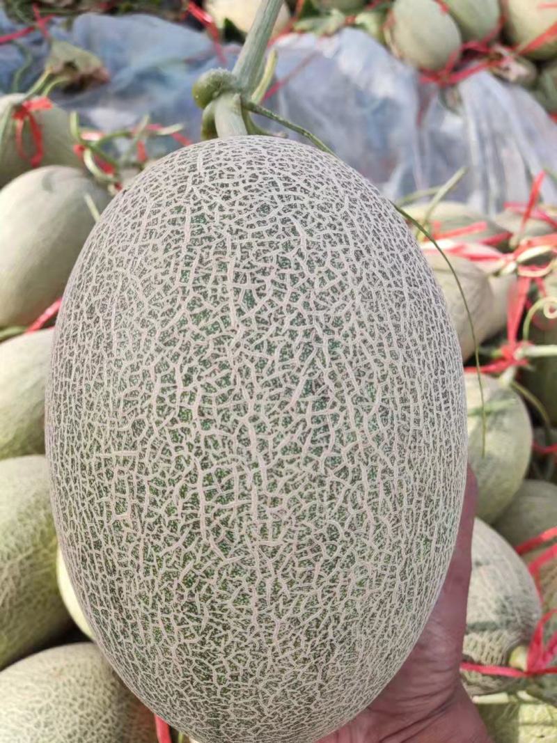 西州蜜瓜
