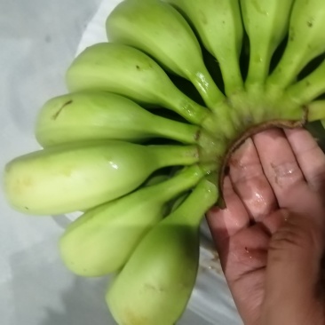 香蕉