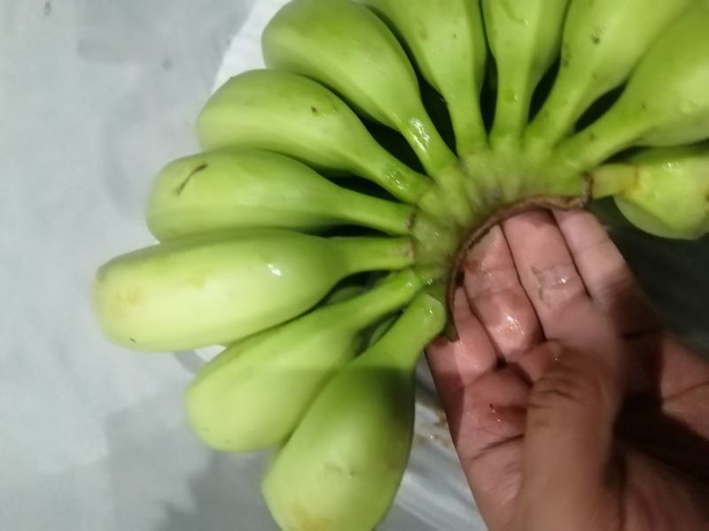 香蕉