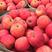 【苹果大降价】精品红富士苹果脆甜多汁产地直发大量现货