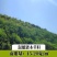 工程护坡灌木种子胡枝子紫穗槐小冠花荆条猪屎豆银合欢绿化草