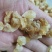 薤白，精品薤白，质量上乘，干净无杂！欢迎咨询合作！