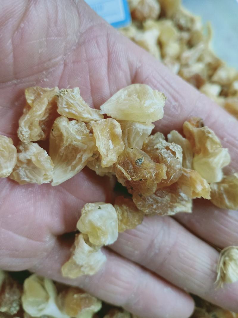 薤白，精品薤白，质量上乘，干净无杂！欢迎咨询合作！