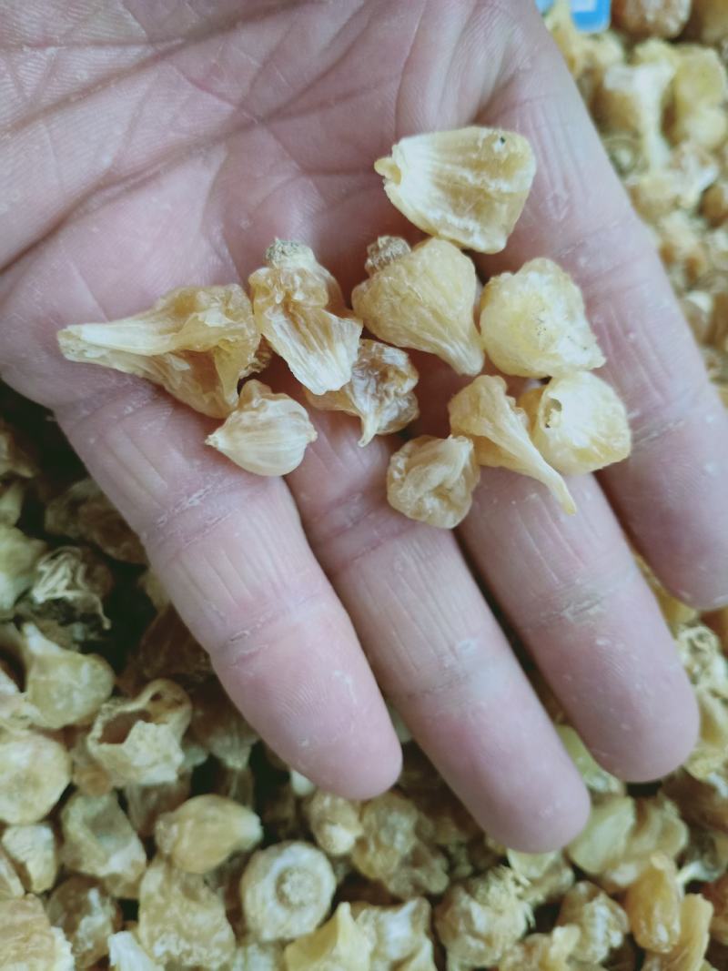 薤白，精品薤白，质量上乘，干净无杂！欢迎咨询合作！