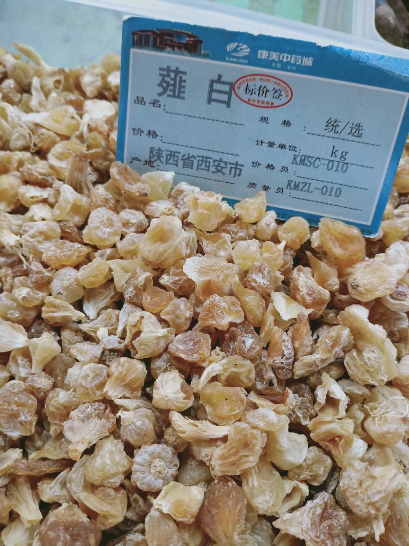 薤白，精品薤白，质量上乘，干净无杂！欢迎咨询合作！