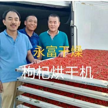 枸杞烘干机，黑枸杞烘干机，空气能枸杞烘干房，枸杞烘干设备