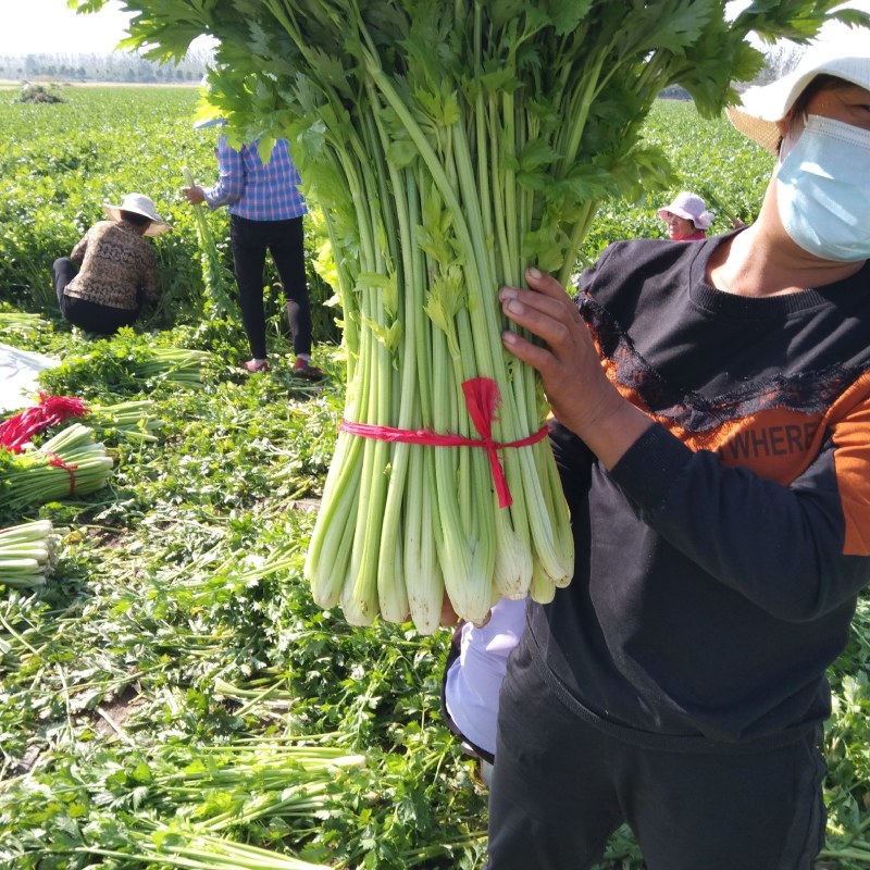 诚信为本，礼貌待人以质量求生存