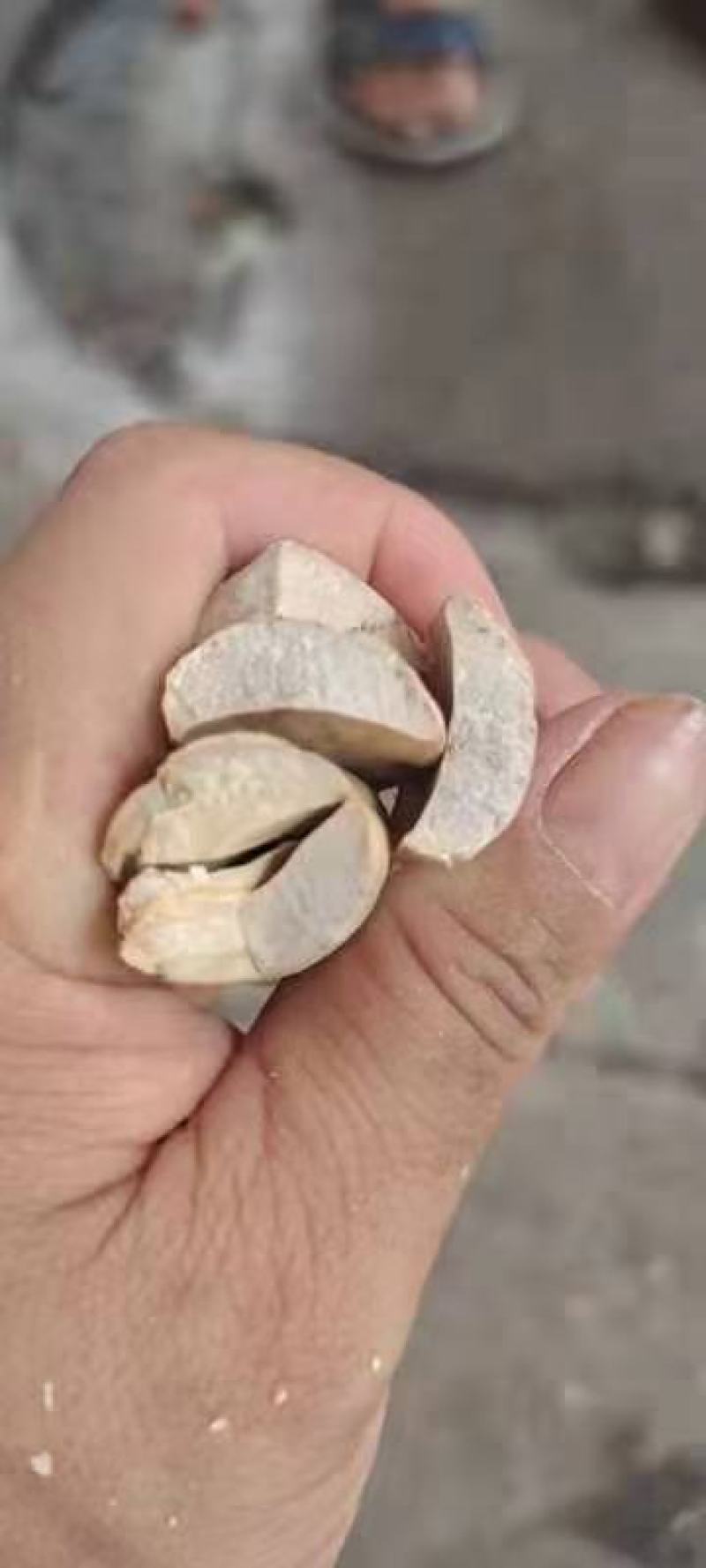 杧果核，新货杧果核果仁饱满颜色好，经营千余种中药材欢迎购