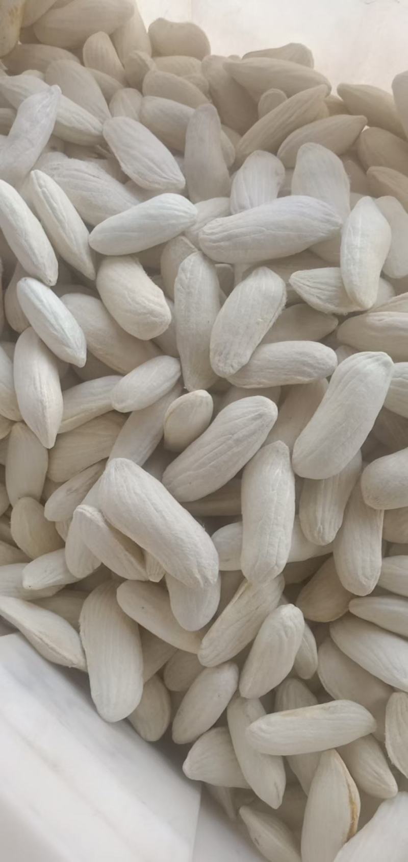 杧果核，新货杧果核果仁饱满颜色好，经营千余种中药材欢迎购