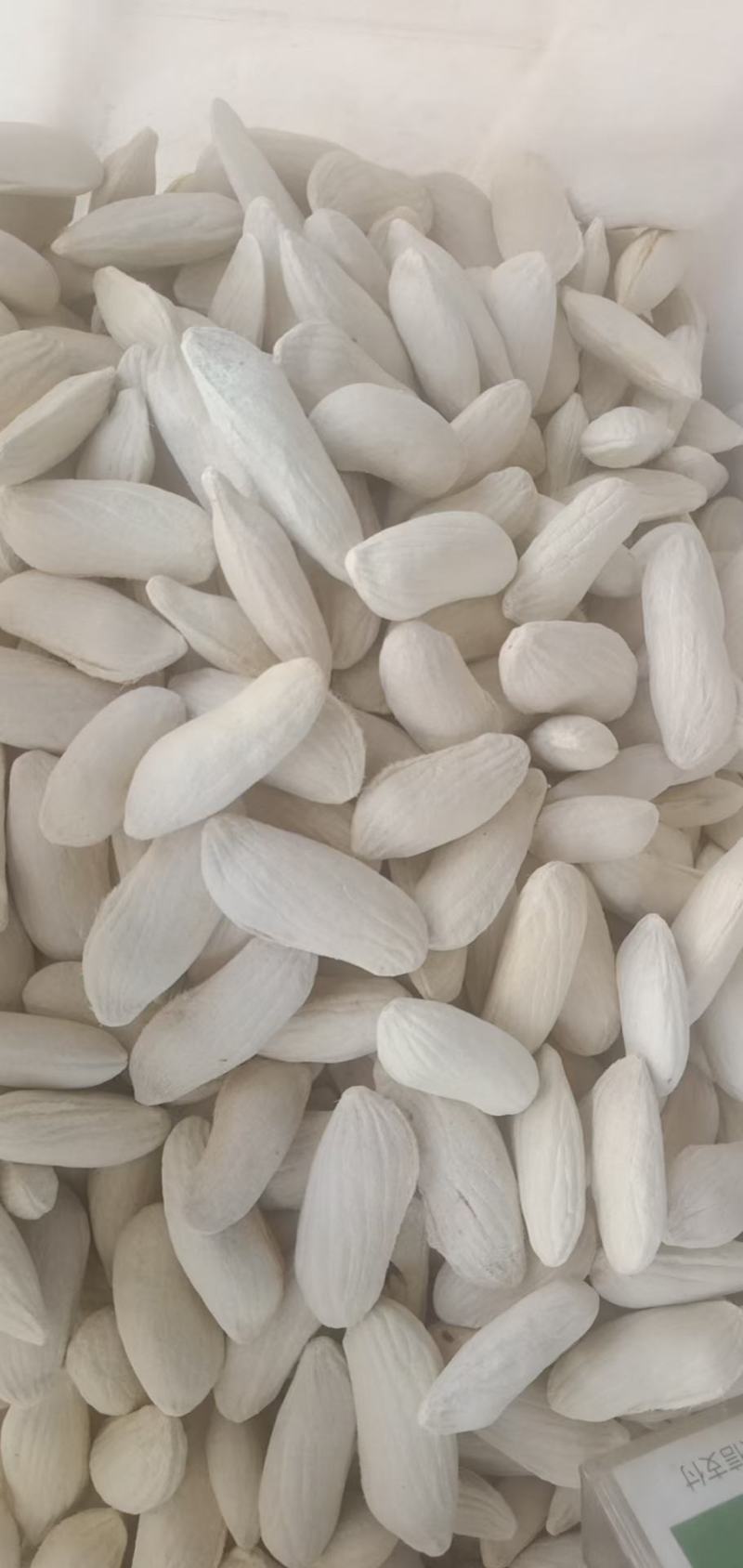杧果核，新货杧果核果仁饱满颜色好，经营千余种中药材欢迎购