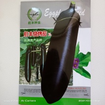 烧烤茄子种子航丰烧烤茄属早熟品种果长35厘米粗6～8厘米