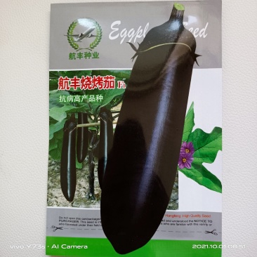 烧烤茄子种子航丰烧烤茄属早熟品种果长35厘米粗6～8厘米