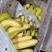 广东三把香蕉，二黄，生蕉大量有货