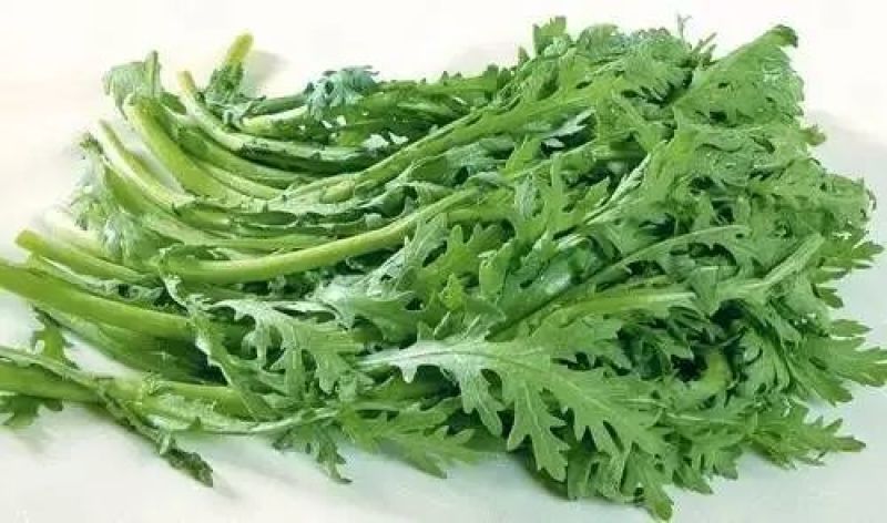 《上品》茼蒿大量上市了，价格美丽，一手货源，基地直发。