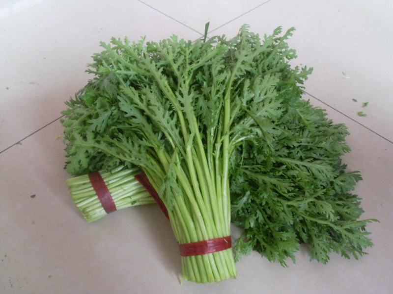 《上品》茼蒿大量上市了，价格美丽，一手货源，基地直发。