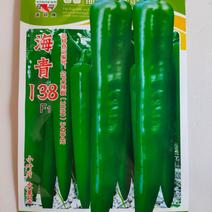 海椒种子海青138大果羊角型中早熟品种青果深绿热色品种