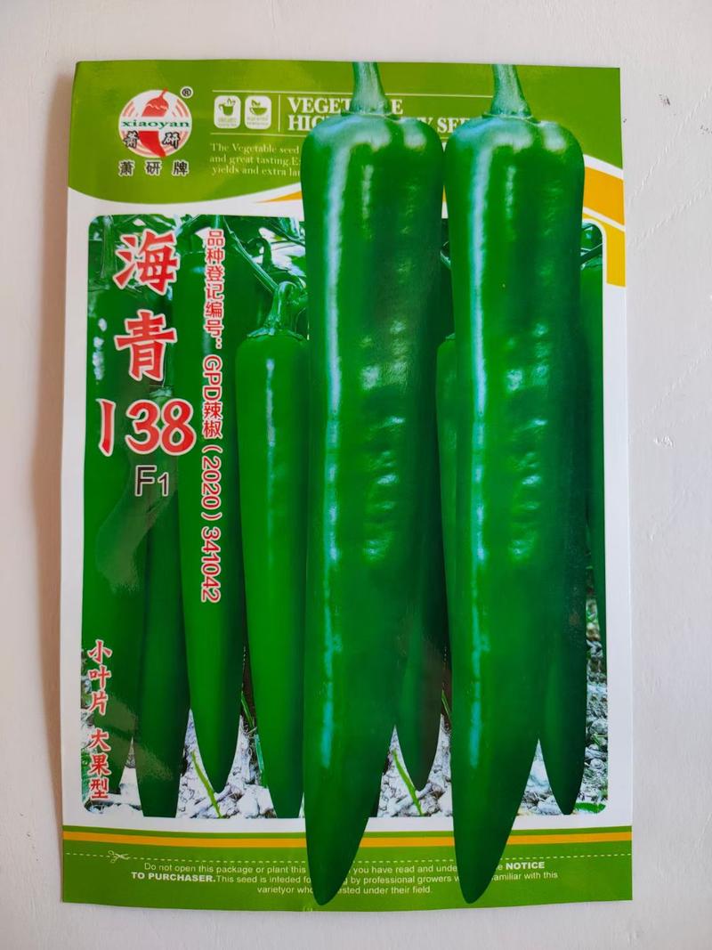 海椒种子海青138大果羊角型中早熟品种青果深绿热色品种