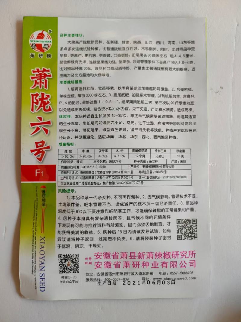 萧研螺丝椒种子新一代大果型小叶深螺纹极早熟品种种子