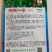 萧研螺丝椒种子新一代大果型小叶深螺纹极早熟品种种子