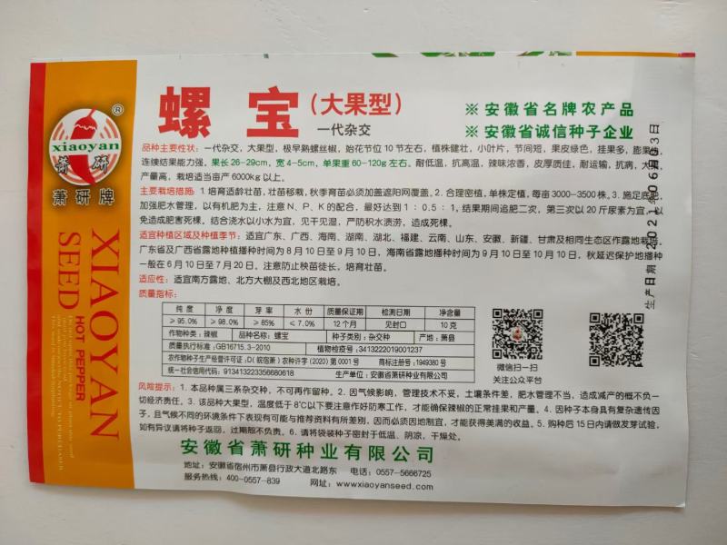 萧研螺丝椒种子新一代大果型小叶深螺纹极早熟品种种子