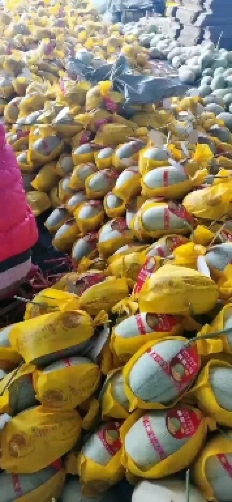山东潍坊寿光，西周密大量上市，质量杠杠的品质保证