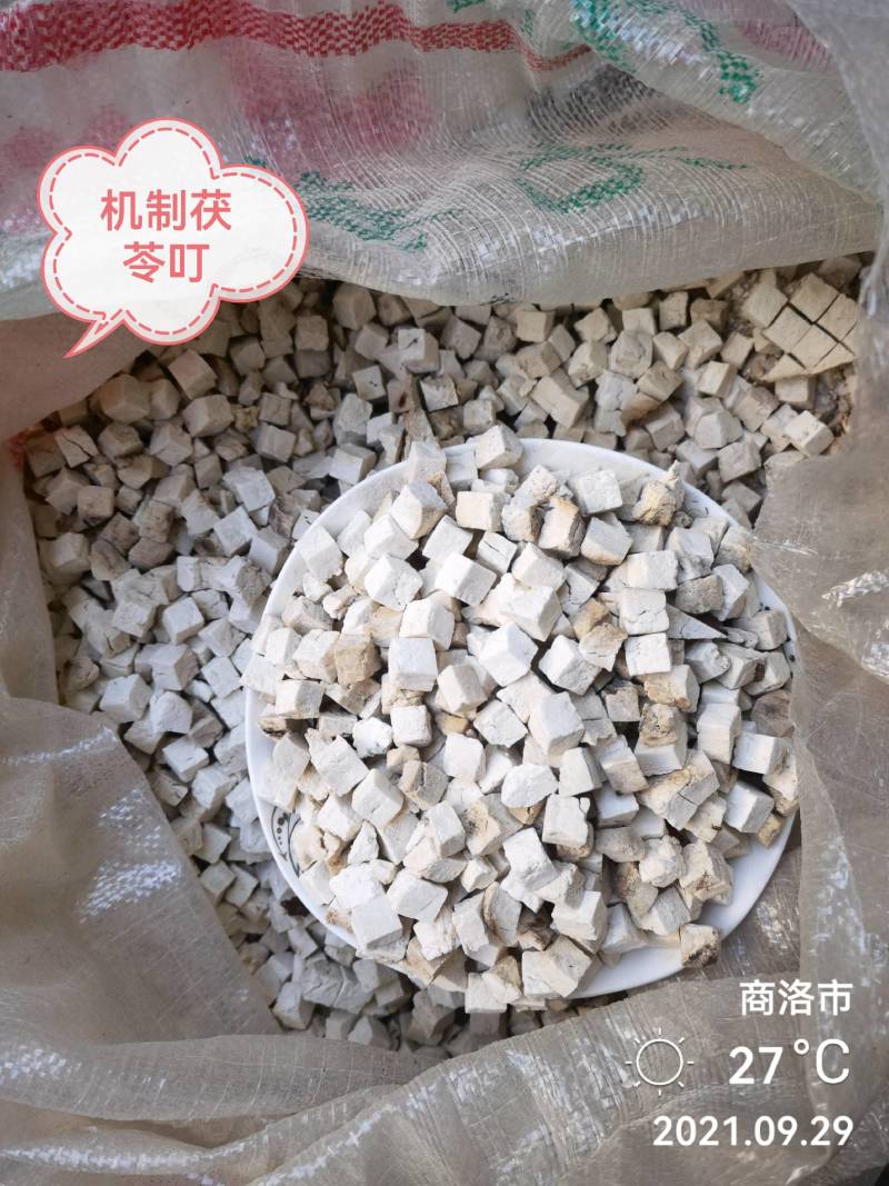 秦岭山区，26年新货，纯无硫茯苓叮，机制叮手选货无黑头