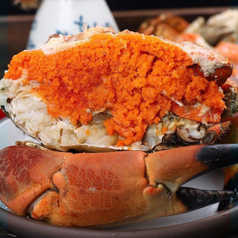 面包蟹鲜活熟冻超大螃蟹英国大母蟹熟食黄金蟹斤特大螃蟹