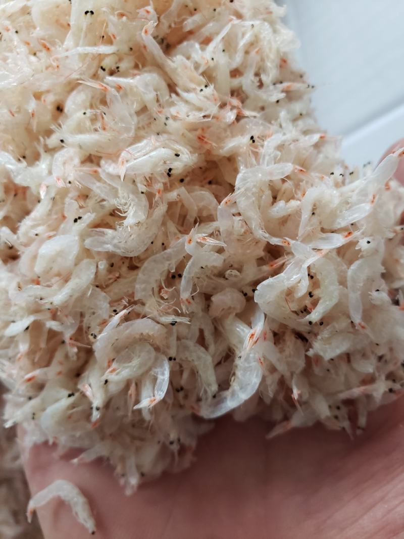 淡干虾皮无盐虾皮，干度好盐分超低电商团购批发主打产品