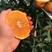 四川爱媛38果冻橙，新鲜采摘，基地直供，皮薄汁多，全国代发！